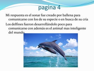 pagina 4
Mi respuesta es el sonar fue creado por ballena para
comunicarse con los de su especie o en busca de su cría
Los delfines fueron desarrollándolo poco para
comunicarse con además es el animal mas inteligente
del mundo.
 