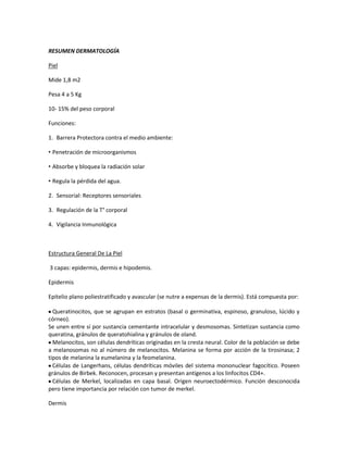 RESUMEN DERMATOLOGÍA

Piel

Mide 1,8 m2

Pesa 4 a 5 Kg

10- 15% del peso corporal

Funciones:

1. Barrera Protectora contra el medio ambiente:

• Penetración de microorganismos

• Absorbe y bloquea la radiación solar

• Regula la pérdida del agua.

2. Sensorial: Receptores sensoriales

3. Regulación de la T° corporal

4. Vigilancia Inmunológica



Estructura General De La Piel

3 capas: epidermis, dermis e hipodemis.

Epidermis

Epitelio plano poliestratificado y avascular (se nutre a expensas de la dermis). Está compuesta por:

  Queratinocitos, que se agrupan en estratos (basal o germinativa, espinoso, granuloso, lúcido y
córneo).
Se unen entre sí por sustancia cementante intracelular y desmosomas. Sintetizan sustancia como
queratina, gránulos de queratohialina y gránulos de oland.
  Melanocitos, son células dendríticas originadas en la cresta neural. Color de la población se debe
a melanosomas no al número de melanocitos. Melanina se forma por acción de la tirosinasa; 2
tipos de melanina la eumelanina y la feomelanina.
  Células de Langerhans, células dendríticas móviles del sistema mononuclear fagocítico. Poseen
gránulos de Birbek. Reconocen, procesan y presentan antígenos a los linfocitos CD4+.
  Células de Merkel, localizadas en capa basal. Origen neuroectodérmico. Función desconocida
pero tiene importancia por relación con tumor de merkel.

Dermis
 