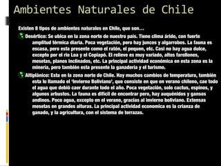 Ambientes Naturales de Chile
Existen 8 tipos de ambientes naturales en Chile, que son…

þ Desértico: Se ubica en la zona norte de nuestro país. Tiene clima árido, con fuerte

amplitud térmica diaria. Poca vegetación, pero hay juncos y algarrobos. La fauna es
escasa, pero esta presente como el ratón, el pequen, etc. Casi no hay agua dulce,
excepto por el rio Loa y el Copiapó. El relieve es muy variado, altos farellones,
mesetas, planos inclinados, etc. La principal actividad económica en esta zona es la
minería, pero también esta presente la ganadería y el turismo.

þ Altiplánico: Esta en la zona norte de Chile. Hay muchos cambios de temperatura, también

esta lo llamado el ‘Invierno Boliviano’, que consiste en que en verano chileno, cae todo
el agua que debió caer durante todo el año. Poca vegetación, solo cactus, espinos, y
algunos arbustos. La fauna es difícil de encontrar pero, hay auquénidos y gansos
andinos. Poco agua, excepto en el verano, gracias al invierno boliviano. Extensas
mesetas en grandes alturas. La principal actividad economica es la crianza de
ganado, y la agricultura, con el sistema de terrazas.

 