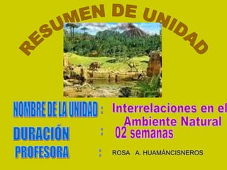 RESUMEN DE UNIDAD NOMBRE DE LA UNIDAD DURACIÓN  PROFESORA  : : : : Interrelaciones en el Ambiente Natural 02 semanas ROSA  A. HUAMÁNCISNEROS 