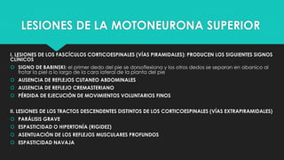 LESIONES DE LA MOTONEURONA SUPERIOR
I. LESIONES DE LOS FASCÍCULOS CORTICOESPINALES (VÍAS PIRAMIDALES): PRODUCEN LOS SIGUIENTES SIGNOS
CLÍNICOS
 SIGNO DE BABINSKI: el primer dedo del pie se dorsoflexiona y los otros dedos se separan en abanico al
frotar la piel a lo largo de la cara lateral de la planta del pie
 AUSENCIA DE REFLEJOS CUTANEO ABDOMINALES
 AUSENCIA DE REFLEJO CREMASTERIANO
 PÉRDIDA DE EJECUCIÓN DE MOVIMIENTOS VOLUNTARIOS FINOS
II. LESIONES DE LOS TRACTOS DESCENDENTES DISTINTOS DE LOS CORTICOESPINALES (VÍAS EXTRAPIRAMIDALES)
 PARÁLISIS GRAVE
 ESPASTICIDAD O HIPERTONÍA (RIGIDEZ)
 ASENTUACIÓN DE LOS REFLEJOS MUSCULARES PROFUNDOS
 ESPASTICIDAD NAVAJA
 
