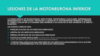 LESIONES DE LA MOTONEURONA INFERIOR
A CONSECUENCIA DE TRAUMATISMOS, INFECCIONES, TRANSTORNOS VASCULARES, ENFERMEDADES
DEGENERATIVAS Y NEUPLASIAS, PRODUCEN LA LESIÓN DE LA MOTONEURONA INFERIOR AL DESTRUIR
EL CUERPO CELULAR EN LA COLUMNA GRIS ANTERIOR O SU AXON EN LA RAÍZ ANTERIOR O EL NERVIO
RAQUÍDEO
LOS SIGNOS CLÍNICOS SON:
 PARÁLISIS FLACIDA DE LOS MÚSCULOS INERVADOS
 ATRÓFIA DE LOS MÚSCULOS INERVADOS
 PÉRDIDA DE REFLEJOS DE LOS MÚSCULOS INERVADOS
 FASCÍCULACIONES MÚSCULARES (contracción de los músculos que solo se encuentran en los
casos de destrucción lenta de la motoneurona inferior)
 CONTRACTURA MÚSCULAR MAS FRECUENTE EN LOS MÚSCULOS ANTAGONISTAS CUYA ACCIÓN
YA NO ES CONTRARRESTADA POR LOS MÚSCULOS PARALISADOS
 