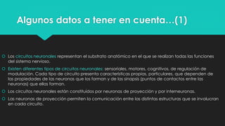 Algunos datos a tener en cuenta…(1)
 Los circuitos neuronales representan el substrato anatómico en el que se realizan todas las funciones
del sistema nervioso.
 Existen diferentes tipos de circuitos neuronales: sensoriales, motores, cognitivos, de regulación de
modulación. Cada tipo de circuito presenta características propias, particulares, que dependen de
las propiedades de las neuronas que los forman y de las sinapsis (puntos de contactos entre las
neuronas) que ellas forman.
 Los circuitos neuronales están constituídos por neuronas de proyección y por interneuronas.
 Las neuronas de proyección permiten la comunicación entre las distintas estructuras que se involucran
en cada circuito.
 