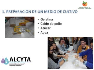 • Gelatina
• Caldo de pollo
• Azúcar
• Agua