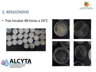 • Tras incubar 48 horas a 24°C