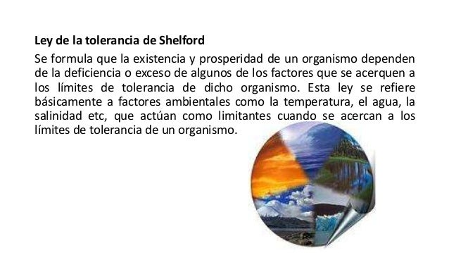 LEY DE TOLERANCIA DE SHELFORD PDF