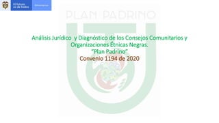 Análisis Jurídico y Diagnóstico de los Consejos Comunitarios y
Organizaciones Étnicas Negras.
“Plan Padrino”
Convenio 1194 de 2020
 