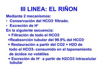 III LINEA: EL RIÑON <ul><li>Mediante 2 mecanismos: </li></ul><ul><li>Conservación del HCO3 -  filtrado. </li></ul><ul><li>...