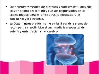 Los neurotransmisores son sustancias químicas naturales que existen dentro del cerebro y que son responsables de las actividades cerebrales, entre otras: la motivación, las emociones y los instintos.La Dopamina es predominante en las áreas del sistema de recompensa mesolímbico el cual media las repuestas de euforia y estimulación en el cerebro.