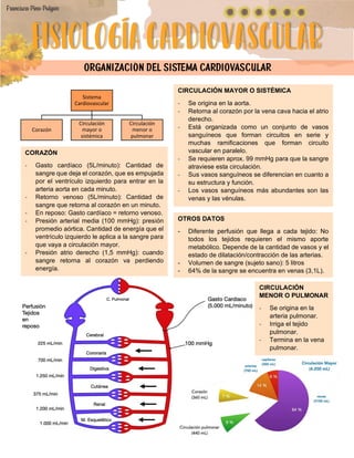 Resumen Fisiología Cardiovascular.pdf