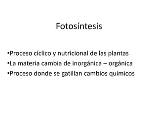 Fotosíntesis 
•Proceso cíclico y nutricional de las plantas 
•La materia cambia de inorgánica – orgánica 
•Proceso donde se gatillan cambios químicos 
 