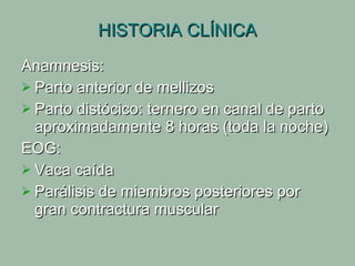 HISTORIA CLÍNICA Anamnesis:  Parto anterior de mellizos Parto distócico: ternero en canal de parto aproximadamente 8 horas (toda la noche) EOG:  Vaca caída Parálisis de miembros posteriores por gran contractura muscular 