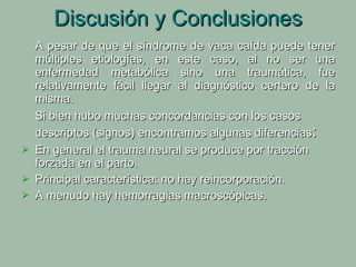 Discusión y Conclusiones A pesar de que el síndrome de vaca caída puede tener múltiples etiologías, en este caso, al no ser una enfermedad metabólica sino una traumática, fue relativamente fácil llegar al diagnóstico certero de la misma. Si bien hubo muchas concordancias con los casos descriptos (signos) encontramos algunas diferencias : En general el trauma neural se produce por tracción forzada en el parto. Principal característica: no hay reincorporación. A menudo hay hemorragias macroscópicas. 