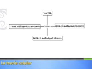 La teoría celular
 