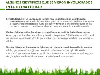 ALGUNOS CIENTÍFICOS QUE SE VIERON INVOLUCRADOS
EN LA TEORIA CELULAR
Henri Dutrochet : Fue un Fisiólogo francés muy importante que a contribuido
bastante con el desarrollo de la osmosis y estudio el desarrollo embrionario, ayudo
a cosechar espermatozoides fuera del pene y también a encontrar cedulas en los
testículos, se entero que al frotar el pene constantemente lo que sale es célula
Mathias Schleiden: Hombre de carácter polémico, se burló de los botánicos de su
tiempo, que se limitaban a nombrar y describir las plantas. Schleiden las estudió con el
microscopio y concibió la idea de que estaban compuestas por unidades reconocibles o
células.
Theodor Schwann: El nombre de Schwann se relaciona con el desarrollo de la teoría
celular, que comenzó a edificarse durante la primera mitad del siglo XIX. A ello
contribuyó, por un lado, la construcción de microscopios con lentes acromáticas y, por
otro, la aplicación de este instrumento al estudio de los seres vivos.
 