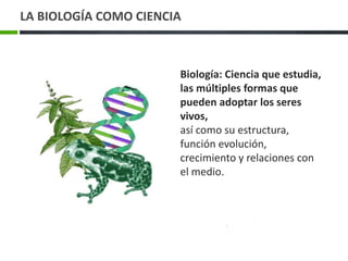 Biología: Ciencia que estudia,
las múltiples formas que
pueden adoptar los seres
vivos,
así como su estructura,
función evolución,
crecimiento y relaciones con
el medio.
LA BIOLOGÍA COMO CIENCIA
 