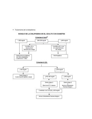  Tratamiento de la dislipidemia
 
