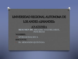 UNIVERSIDADREGIONAL AUTONOMA DE
LOS ANDES «UNIANDES»
ANATOMIA
RESUMEN DE: HIGADO, VIAS BILIARES,
PANCREAS
NOMBRE:
• MYRIAM BALSECA
DOCENTE:
• Dr. ARMANDO QUINTANA
 