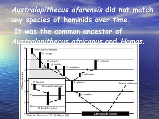 Human evolution | PPT