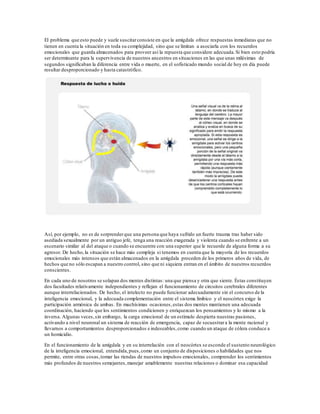 El problema que esto puede y suele suscitarconsiste en que la amígdala ofrece respuestas inmediatas que no
tienen en cuenta la situación en toda su complejidad, sino que se limitan a asociarla con los recuerdos
emocionales que guarda almacenados para proveer así la repuesta que considere adecuada.Si bien esto podría
ser determinante para la supervivencia de nuestros ancestros en situaciones en las que unas milésimas de
segundos significaban la diferencia entre vida o muerte, en el sofisticado mundo social de hoy en día puede
resultar desproporcionado y hasta catastrófico.
Así, por ejemplo, no es de sorprenderque una persona que haya sufrido un fuerte trauma tras haber sido
asediada sexualmente por un antiguo jefe, tenga una reacción exagerada y violenta cuando se enfrente a un
escenario similar al del ataque o cuando se encuentre con una superior que le recuerde de alguna forma a su
agresor. De hecho,la situación se hace más compleja si tenemos en cuenta que la mayoría de los recuerdos
emocionales más intensos que están almacenados en la amígdala proceden de los primeros años de vida, de
hechos que no sólo escapan a nuestro control, sino que ni siquiera entran en el ámbito de nuestros recuerdos
conscientes.
En cada uno de nosotros se solapan dos mentes distintas: una que piensa y otra que siente. Éstas constituyen
dos facultades relativamente independientes y reflejan el funcionamiento de circuitos cerebrales diferentes
aunque interrelacionados. De hecho, el intelecto no puede funcionar adecuadamente sin el concurso de la
inteligencia emocional, y la adecuada complementación entre el sistema límbico y el neocórtex exige la
participación armónica de ambas. En muchísimas ocasiones,estas dos mentes mantienen una adecuada
coordinación, haciendo que los sentimientos condicionen y enriquezcan los pensamientos y lo mismo a la
inversa. Algunas veces,sin embargo, la carga emocional de un estímulo despierta nuestras pasiones,
activando a nivel neuronal un sistema de reacción de emergencia, capaz de secuestrara la mente racional y
llevarnos a comportamientos desproporcionados e indeseables,como cuando un ataque de cólera conduce a
un homicidio.
En el funcionamiento de la amígdala y en su interrelación con el neocórtex se esconde el sustento neurológico
de la inteligencia emocional, entendida,pues,como un conjunto de disposiciones o habilidades que nos
permite, entre otras cosas,tomar las riendas de nuestros impulsos emocionales, comprender los sentimientos
más profundos de nuestros semejantes,manejar amablemente nuestras relaciones o dominar esa capacidad
 