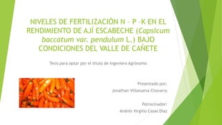 NIVELES DE FERTILIZACIÓN N – P –K EN EL
RENDIMIENTO DE AJÍ ESCABECHE (Capsicum
baccatum var. pendulum L.) BAJO
CONDICIONES DEL VALLE DE CAÑETE
Tesis para optar por el titulo de Ingeniero Agrónomo
Presentado por:
Jonathan Villanueva Chavarry
Patrocinador:
Andrés Virgilio Casas Díaz
 