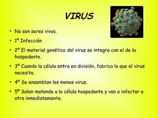 VIRUS
●
    No son seres vivos.
●
    1º Infección
●
    2º El material genético del virus se integra con el de la
    hospedante.
●
    3º Cuando la célula entra en división, fabrica lo que el virus
    necesita.
●
    4º Se ensamblan los menos virus.
●
    5º Salen matando a la célula hospedante y van a infectar a
    otra inmediatamente.
 