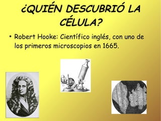 ¿QUIÉN DESCUBRIÓ LA
            CÉLULA?
●
    Robert Hooke: Científico inglés, con uno de
    los primeros microscopios en 1665.
 