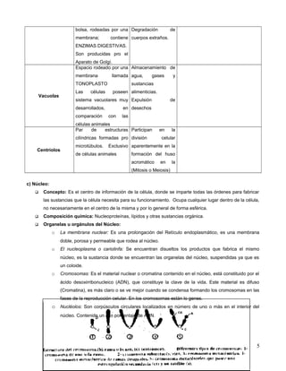 bolsa, rodeadas por una
membrana; contiene
ENZIMAS DIGESTIVAS.
Son producidas pro el
Aparato de Golgí.
Degradación de
cuerpos extraños.
Vacuolas
Espacio rodeado por una
membrana llamada
TONOPLASTO
Las células poseen
sistema vacuolares muy
desarrollados, en
comparación con las
células animales
Almacenamiento de
agua, gases y
sustancias
alimenticias.
Expulsión de
desechos
Centríolos
Par de estructuras
cilíndricas formadas pro
microtúbulos. Exclusivo
de células animales
Participan en la
división celular
aparentemente en la
formación del huso
acromático en la
(Mitosis o Meiosis)
c) Núcleo:
 Concepto: Es el centro de información de la célula, donde se imparte todas las órdenes para fabricar
las sustancias que la célula necesita para su funcionamiento. Ocupa cualquier lugar dentro de la célula,
no necesariamente en el centro de la misma y por lo general de forma esférica.
 Composición química: Nucleoproteínas, lípidos y otras sustancias orgánica.
 Organelas u orgánulos del Núcleo:
o La membrana nuclear: Es una prolongación del Retículo endoplasmático, es una membrana
doble, porosa y permeable que rodea al núcleo.
o El nucleoplasma o cariolinfa: Se encuentran disueltos los productos que fabrica el mismo
núcleo, es la sustancia donde se encuentran las organelas del núcleo, suspendidas ya que es
un coloide.
o Cromosomas: Es el material nuclear o cromatina contenido en el núcleo, está constituido por el
ácido desoxirribonucleico (ADN), que constituye la clave de la vida. Este material es difuso
(Cromatina), es más claro o se ve mejor cuando se condensa formando los cromosomas en las
fases de la reproducción celular. En los cromosomas están lo genes.
o Nucléolos: Son corpúsculos circulares localizados en número de uno o más en el interior del
núcleo. Contenido un alto porcentaje de ARN. i
5
 
