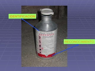 RECONOCIMIENTO IDENTIFICACION 