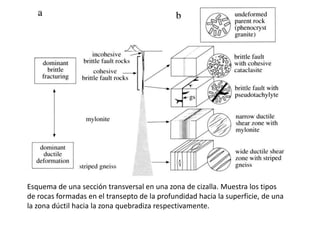 Esquema de una sección transversal en una zona de cizalla. Muestra los tipos
de rocas formadas en el transepto de la profundidad hacia la superficie, de una
la zona dúctil hacia la zona quebradiza respectivamente.

 