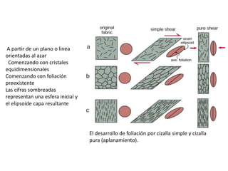 A partir de un plano o linea
orientadas al azar
Comenzando con cristales
equidimensionales
Comenzando con foliación
preexistente
Las cifras sombreadas
representan una esfera inicial y
el elipsoide capa resultante

El desarrollo de foliación por cizalla simple y cizalla
pura (aplanamiento).

 