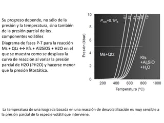 Su progreso depende, no sólo de la
presión y la temperatura, sino también
de la presión parcial de los
componentes volátiles
Diagrama de fases P-T para la reacción
Ms + Qtz ↔ Kfs + Al2SiO5 + H2O en el
que se muestra como se desplaza la
curva de reacción al variar la presión
parcial de H2O (PH2O) y hacerse menor
que la presión litostática.

La temperatura de una isograda basada en una reacción de desvolatilización es muy sensible a
la presión parcial de la especie volátil que interviene.

 