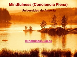Mindfulness (Conciencia Plena)
Universidad de Almería

mindfulness.ual.es

 