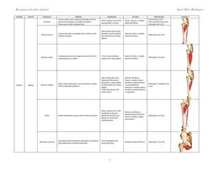 Resumen miembro inferior                                                                                                                                                             Janet Melo Rodríguez

REGION   GRUPO       MUSCULO                                ORIGEN                                  INSERCION                      ACCION                    INERVACION                 IMAGEN
                                      Pecten pubis y ramo superior del pubis, entre la                                                                 Femoral (LII y LIII)
                                                                                            Parte superior de la línea    Flexor, aductor y rotador
                      Pectíneo        eminencia iliopúbica y el tubérculo púbico                                                                       Ramo anterior del nervio
                                                                                            pectínea del H. Fémur         lateral del fémur
                                      Fascia que lo cubre y lig pectíneo                                                                               obturador (LII a LIV)


                                                                                            Parte inferior de la línea
                                      Cuerpo del pubis, por debajo de la cresta y ramo      pectínea y parte superior     Aductor, flexor y rotador
                    Aductor breve                                                                                                                      Obturador (LII a LIV)
                                      inferior del pubis                                    del intersticio de la línea   lateral del fémur
                                                                                            áspera




                                      Cuerpo del pubis, en el ángulo existente entre la     Tercio medio del labio        Aductor, flexor y rotador
                    Aductor longo                                                                                                                      Obturador (LII a LIV)
                                      cresta púbica y la sínfisis                           medial de la línea áspera     lateral del fémur




                                                                                            Labio medial del ramo         Aductor del fémur
                                                                                            lateral de trifurcación,      Flexor y rotador lateral
                                                                                            intersticio y ramo medial     del fémur (parte anterior
                                      Ramo inferior del pubis, ramo del isquion y parte                                                                Obturador e isquiático (LII
MUSLO    Medial    Aductor magno                                                            de bifurcación de la línea    o puboisquiática)
                                      inferior del tuber isquiático                                                                                    a LV)
                                                                                            áspera                        Extensor y rotador lateral
                                                                                            Tubérculo aductor del         del fémur (parte posterior
                                                                                            hueso fémur                   o isquiática)




                                                                                            Parte superior de la cara
                                                                                                                          Aductor del fémur y
                                                                                            medial de la tibia por
                                                                                                                          flexoaccesorio del fémur
                       Grácil         Borde medial del cuerpo y ramo inferior del pubis     detrás del sartorio, por                                   Obturador (LII a LIV)
                                                                                                                          Flexor y rotador medial
                                                                                            delante y encima del
                                                                                                                          de la pierna
                                                                                            semitendinoso




                                      Cara lateral de la membrana obturatriz y superficie   Fosa trocantérica del
                  Obturador externo                                                                                       Rotador lateral del fémur    Obturador (LII y LIV)
                                      ósea adyacente al foramen obturado                    hueso del fémur




                                                                                                      3
 
