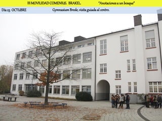 III MOVILIDAD COMENIUS. BRAKEL.                “Anotaciones a un bosque”
Día 23 OCTUBRE                Gymnasium Brede, visita guiada al centro.
 