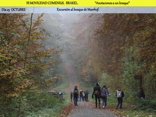 III MOVILIDAD COMENIUS. BRAKEL.              “Anotaciones a un bosque”
Día 25 OCTUBRE                   Excursión al bosque de Meerhof.
 