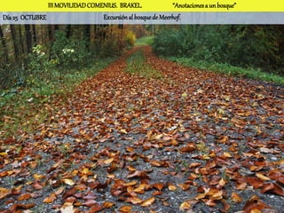 III MOVILIDAD COMENIUS. BRAKEL.              “Anotaciones a un bosque”
Día 25 OCTUBRE                   Excursión al bosque de Meerhof.
 