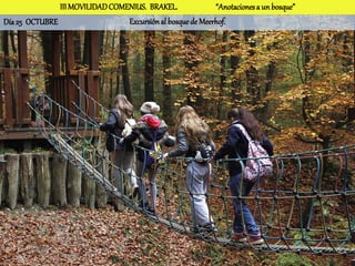III MOVILIDAD COMENIUS. BRAKEL.              “Anotaciones a un bosque”
Día 25 OCTUBRE                   Excursión al bosque de Meerhof.
 