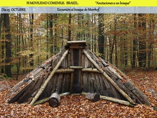 III MOVILIDAD COMENIUS. BRAKEL.              “Anotaciones a un bosque”
Día 25 OCTUBRE                   Excursión al bosque de Meerhof.
 