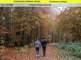 III MOVILIDAD COMENIUS. BRAKEL.              “Anotaciones a un bosque”
Día 25 OCTUBRE                   Excursión al bosque de Meerhof.
 