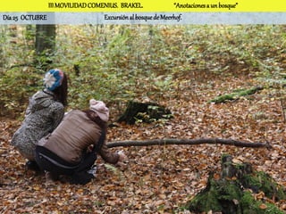 III MOVILIDAD COMENIUS. BRAKEL.              “Anotaciones a un bosque”
Día 25 OCTUBRE                   Excursión al bosque de Meerhof.
 