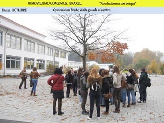 III MOVILIDAD COMENIUS. BRAKEL.                “Anotaciones a un bosque”
Día 23 OCTUBRE                Gymnasium Brede, visita guiada al centro.
 