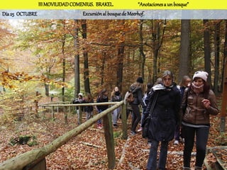 III MOVILIDAD COMENIUS. BRAKEL.              “Anotaciones a un bosque”
Día 25 OCTUBRE                   Excursión al bosque de Meerhof.
 