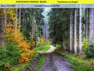 III MOVILIDAD COMENIUS. BRAKEL.              “Anotaciones a un bosque”
Día 25 OCTUBRE                   Excursión al bosque de Meerhof.
 