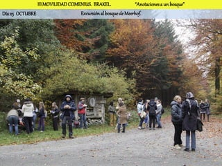 III MOVILIDAD COMENIUS. BRAKEL.              “Anotaciones a un bosque”
Día 25 OCTUBRE                   Excursión al bosque de Meerhof.
                                              Bosque de Meerhof
 
