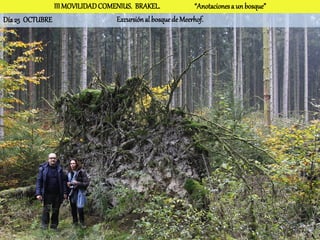 III MOVILIDAD COMENIUS. BRAKEL.              “Anotaciones a un bosque”
Día 25 OCTUBRE                   Excursión al bosque de Meerhof.
 