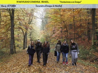 III MOVILIDAD COMENIUS. BRAKEL.              “Anotaciones a un bosque”
Día 25 OCTUBRE                   Excursión al bosque de Meerhof.
 