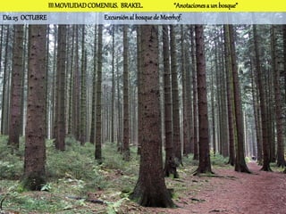 III MOVILIDAD COMENIUS. BRAKEL.              “Anotaciones a un bosque”
Día 25 OCTUBRE                   Excursión al bosque de Meerhof.
 
