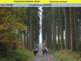 III MOVILIDAD COMENIUS. BRAKEL.              “Anotaciones a un bosque”
Día 25 OCTUBRE                   Excursión al bosque de Meerhof.
 
