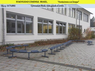 III MOVILIDAD COMENIUS. BRAKEL.                “Anotaciones a un bosque”
Día 23 OCTUBRE                Gymnasium Brede, visita guiada al centro.
 